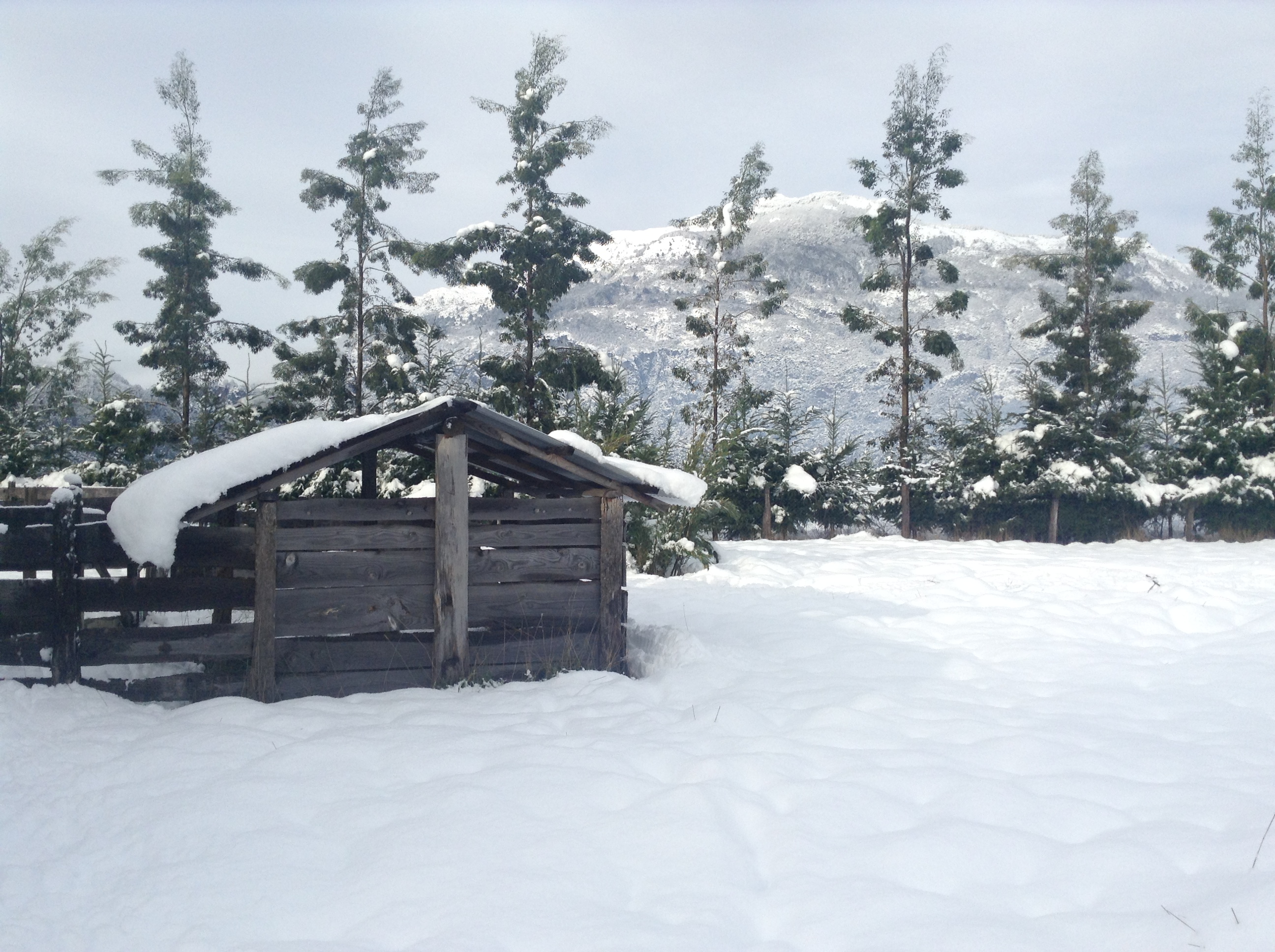 Refugio bajo la nieve en el Fundo La Pampita, invierno 2017, Aysén